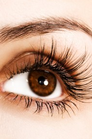 Eyes