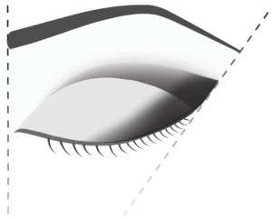 modern contour graphic