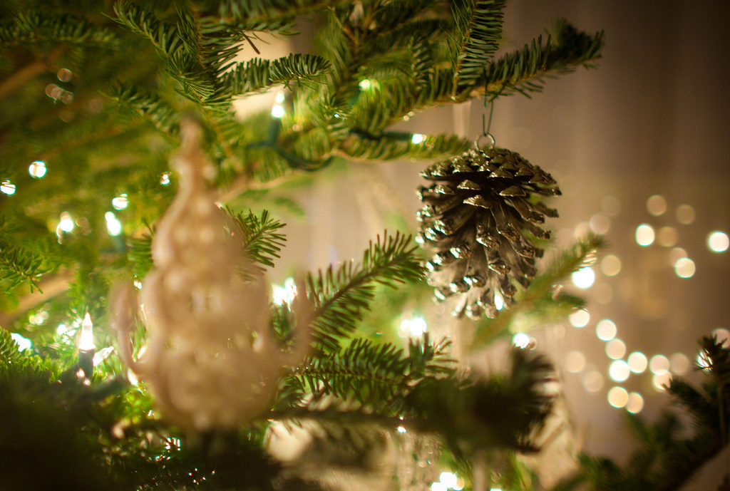 not our actual tree